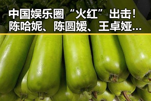 中国娱乐圈“火红”出击!陈哈妮、陈圆媛、王卓娅成中马微电影节形象大使🔥