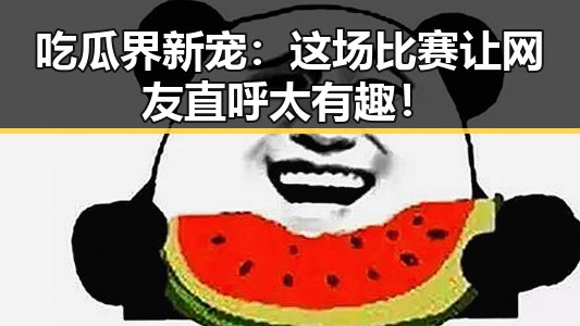 吃瓜界新宠：这场比赛让网友直呼太有趣！