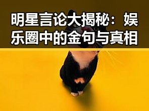 明星言论大揭秘：娱乐圈中的金句与真相