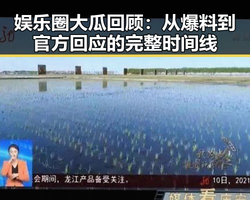 娱乐圈大瓜回顾:从爆料到官方回应的完整时间线