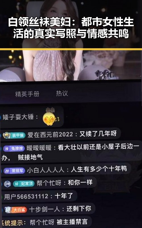 白领丝袜美妇：都市女性生活的真实写照与情感共鸣