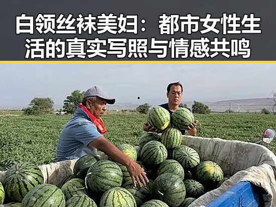 白领丝袜美妇:都市女性生活的真实写照与情感共鸣