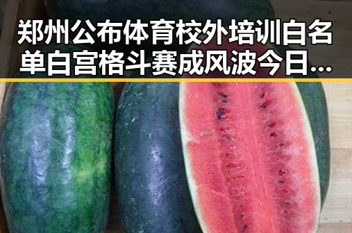 郑州公布体育校外培训白名单白宫格斗赛成风波今日大瓜引发关注